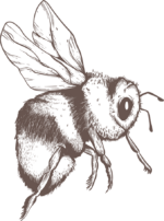 Ilustración Abeja